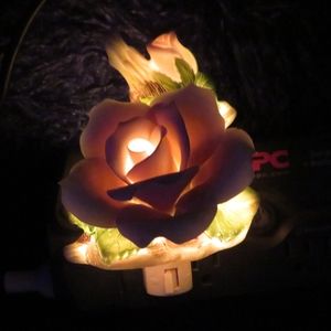Rose Wall Night Light